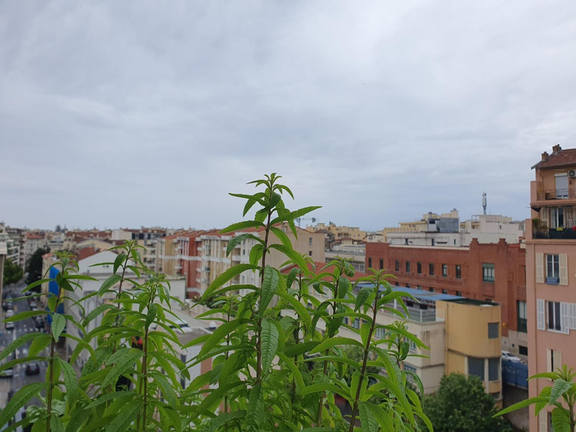 Wonderful Heart Of Nice Buitenkant foto